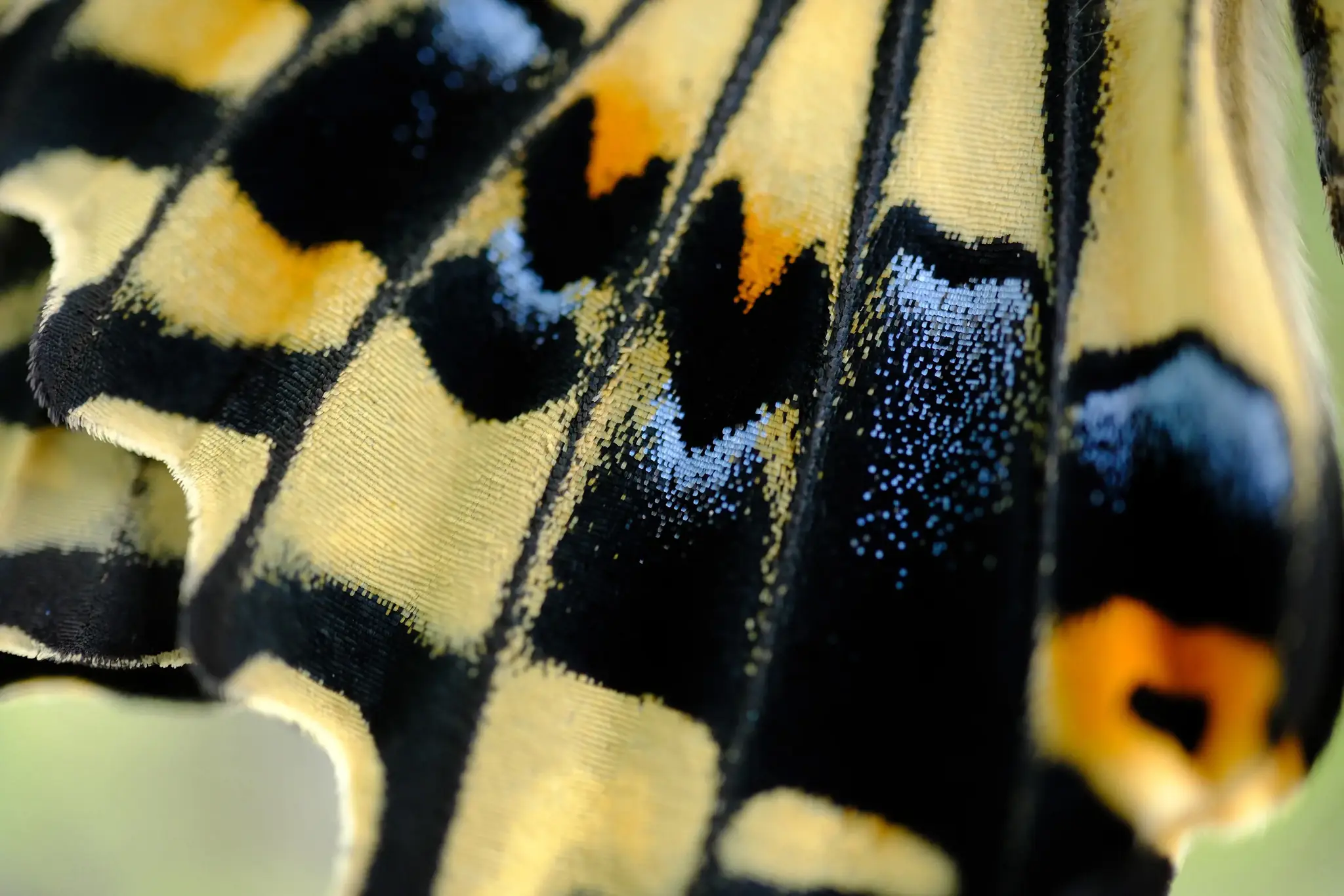 Fujifilm Fujinon XF 30mm f/2.8 R LM WR makro objektyvas