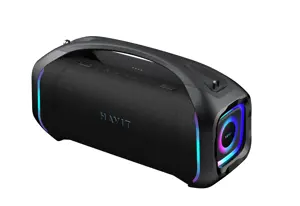 Havit SK910BT - 100W wireless Bluetooth speaker (black)