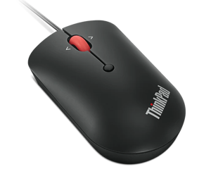 Lenovo 4Y51D20850, dvipusis, optinis, USB Type-C, 2400 DPI, juodas