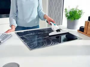 Leifheit Nemo 51042 window cleaner with Click system adapter