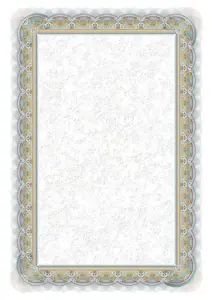 Dipl.popierius 170g Srebro