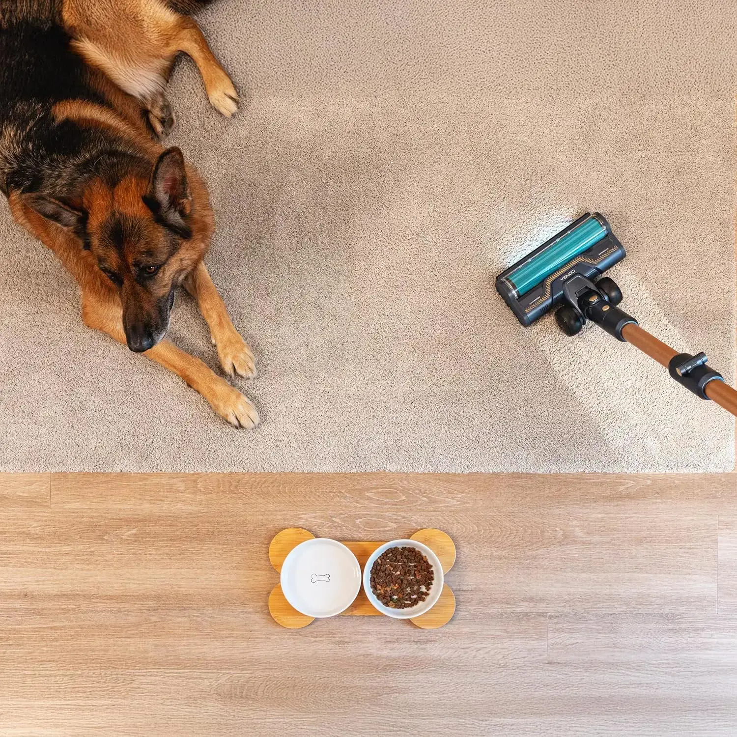 Cecotec Vacuum cleaner | Rockstar RX70 AquaPet Flex Conga | Cordless operating | Stick/handheld | 780 W | Operating time (max) 100 min | Blue/Gold