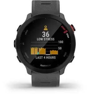 Forerunner 55, GPS, ES, Monterra Grey
