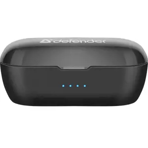 "BLUETOOTH" AUSINĖS DVYNIAI 638
