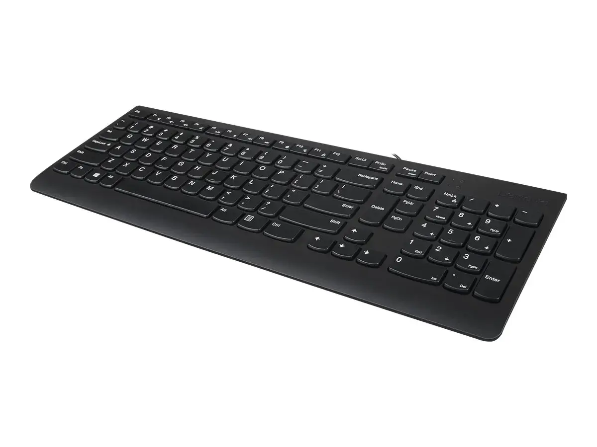 Lenovo 300, Full-size (100%), Wired, USB, QWERTY, Black, Mouse included
