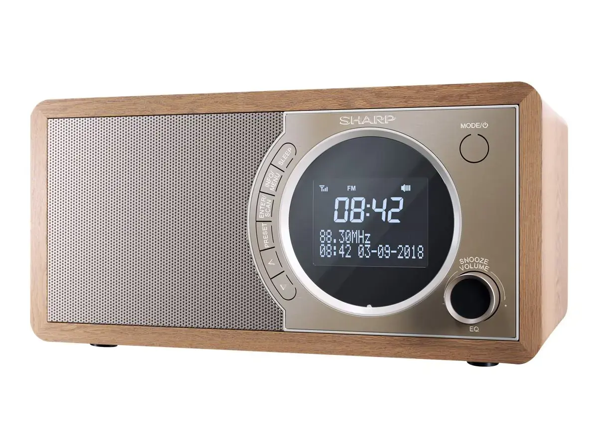 Sharp DR-450, asmeninis, skaitmeninis, DAB, DAB+, FM, 87,5 - 108 MHz, 174,928 - 239,2 MHz, 3 W