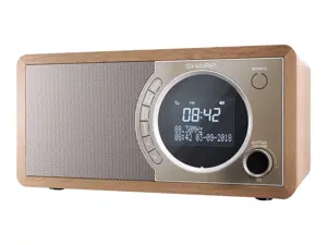 Sharp DR-450, asmeninis, skaitmeninis, DAB, DAB+, FM, 87,5 - 108 MHz, 174,928 - 239,2 MHz, 3 W