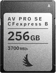 Angelbird memory card CFexpress 4.0 Type B 256GB AV PRO SE