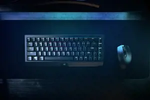 Razer BlackWidow V3 Mini HyperSpeed, JAV, geltonas jungiklis