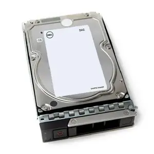 DELL 161-BCJX, 3,5", 12 TB, 7200 APS./MIN