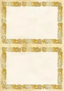 Popierius diplomams A4/A5 170g 25l CELTIC