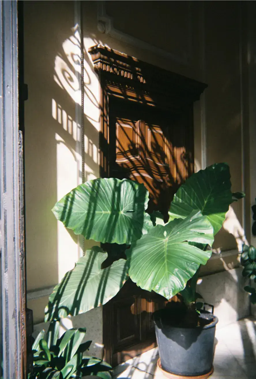 Fujifilm Quicksnap 400/27 Flash New