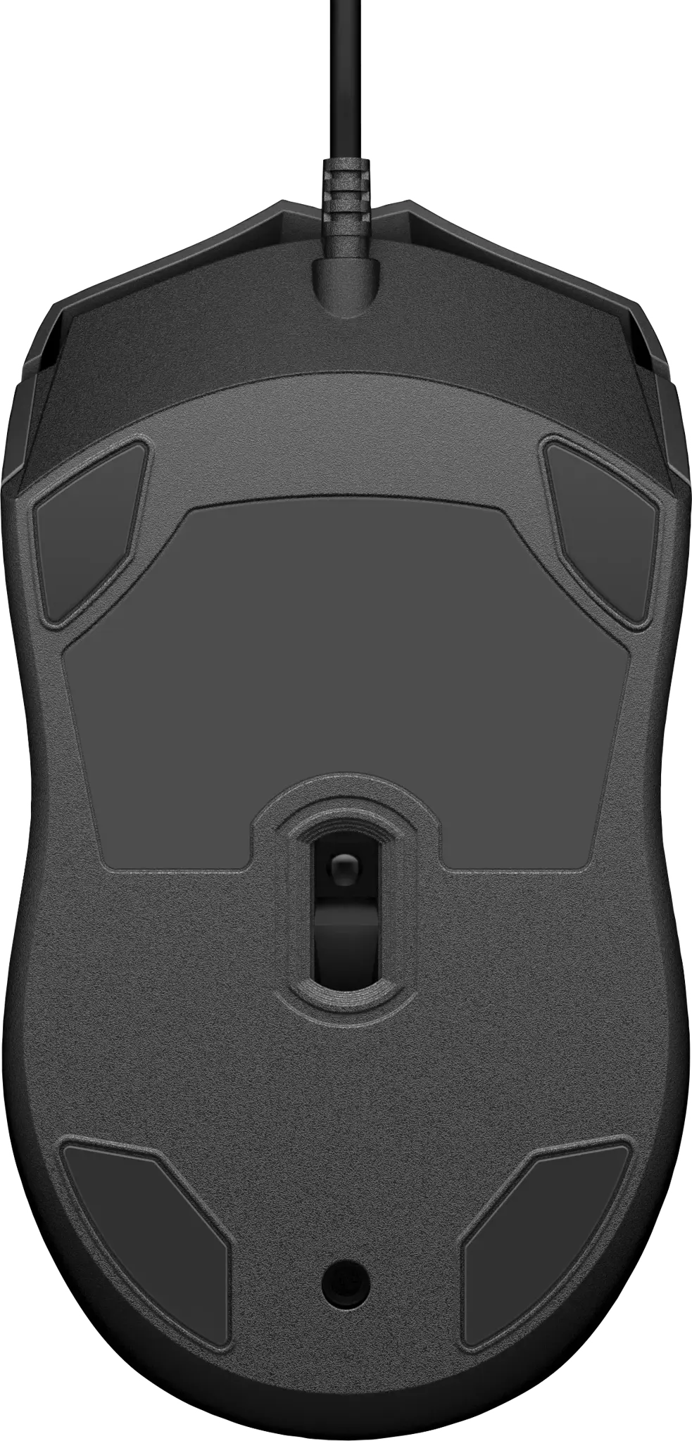 HP laidinė pelė 100