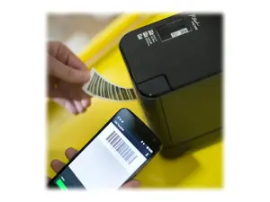 Brother PT-P950NW, TZe, terminio perdavimo, 360 x 360 DPI, 60 mm/s, laidinis ir belaidis, juodas