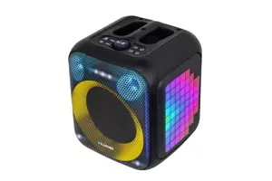 Blaupunkt PB6LED Portable / party speaker black