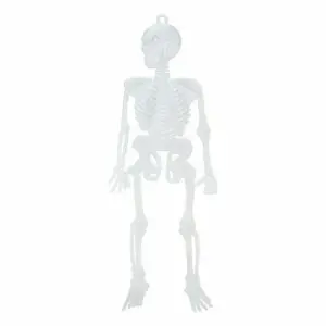 Skeletas 29 x 13 cm (6 vienetai)