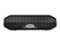 SANDISK Professional G-DRIVE 22TB 3,5 colių USB-C 5Gb/s USB 3.1 verslui skirtas kietasis diskas - kosminės pilkos spalvos