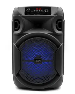 SQUEAK KARAOKE SPEAKER PULSETOWER BT 5.3 + EDR SQ1006