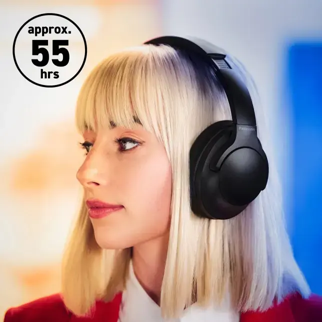 Panasonic wireless headset RB-HX330BDEK, black