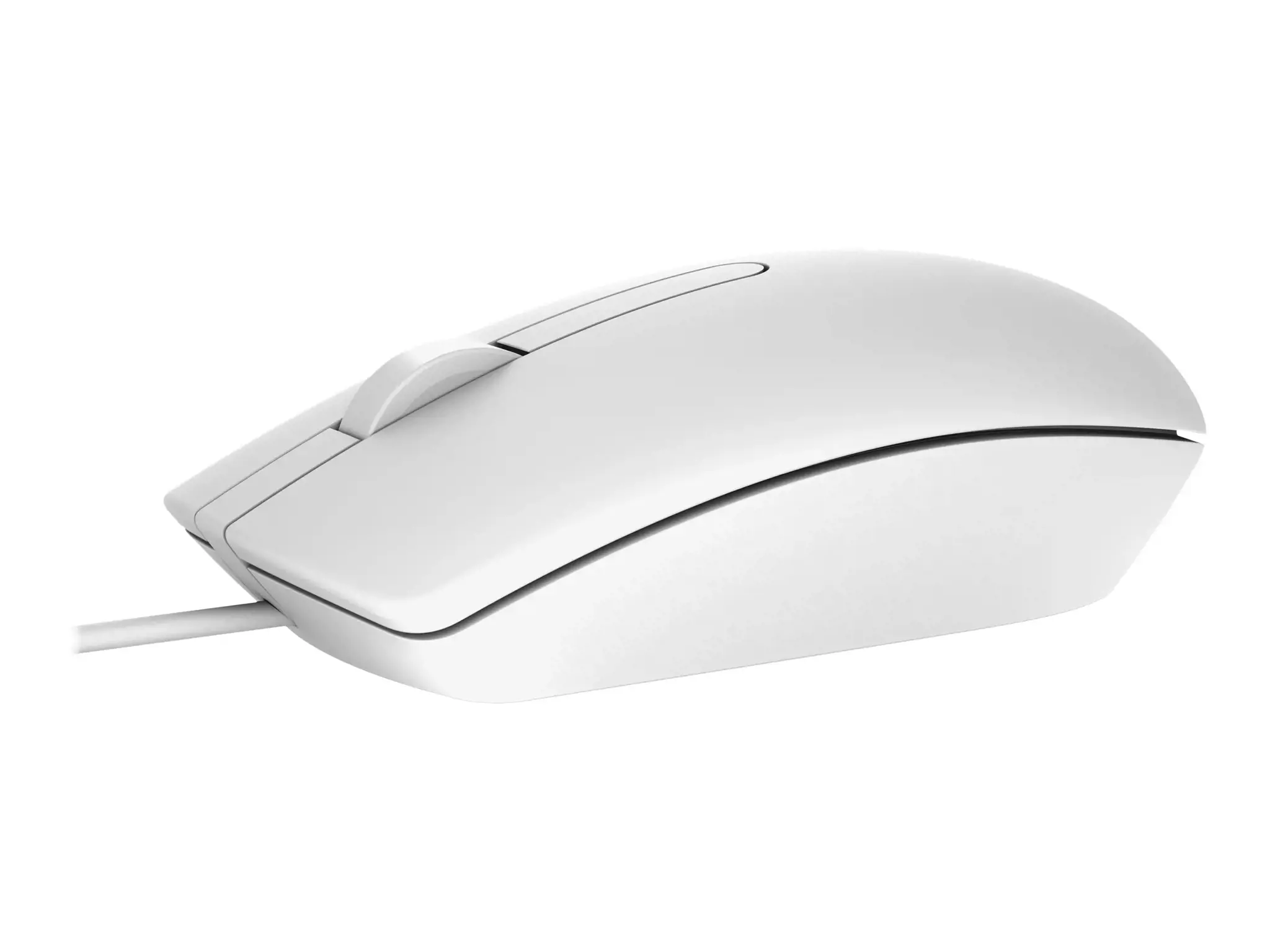 DELL MS116, dvipusis, optinis, USB Type-A, 1000 DPI, baltas