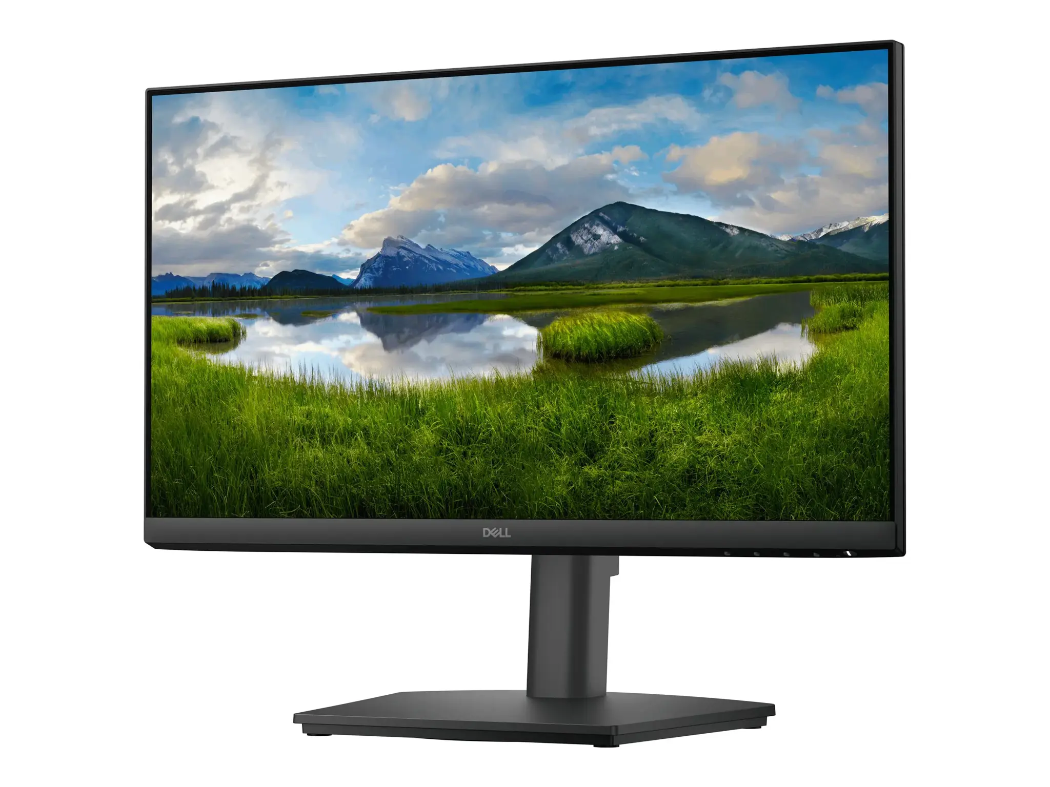 Dell Pro 22 Adjustable Stand Monitor - E2225HSM