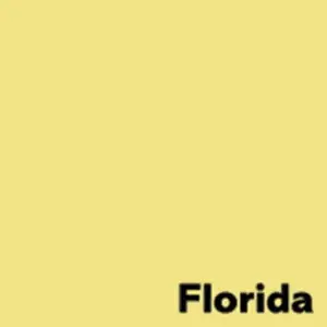 Spalvotas popierius IMAGE COLORACTION, A4, 80 gsm, 500 lapų, FLORIDA / LEMON YELLOW
