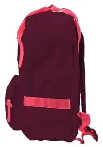 Kuprinė paaugliams YES ST-24 Tawny port, 36x25.5x3.5 cm