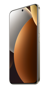 Mobilusis telefonas XIAOMI Redmi, 256 GB, Ruda