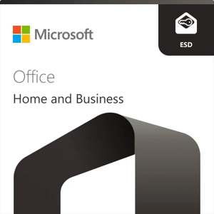 OFFICE HOME & BUSINESS 2024, ALL LNG (ESD)