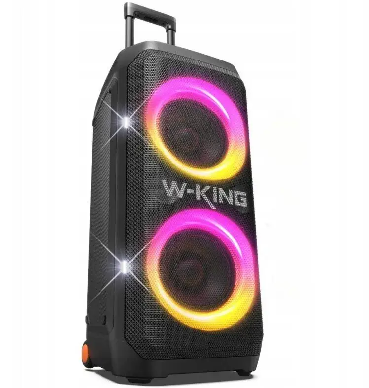 W-KING T12 Wireless Bluetooth Speaker – Black