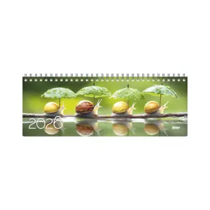 Kalendorius MEMO Card Travelers 2026, 290 x 110 mm, kartoninis