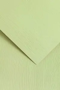 Dekoratyvinis popierius OAK A4 kreminis 230g 20lap