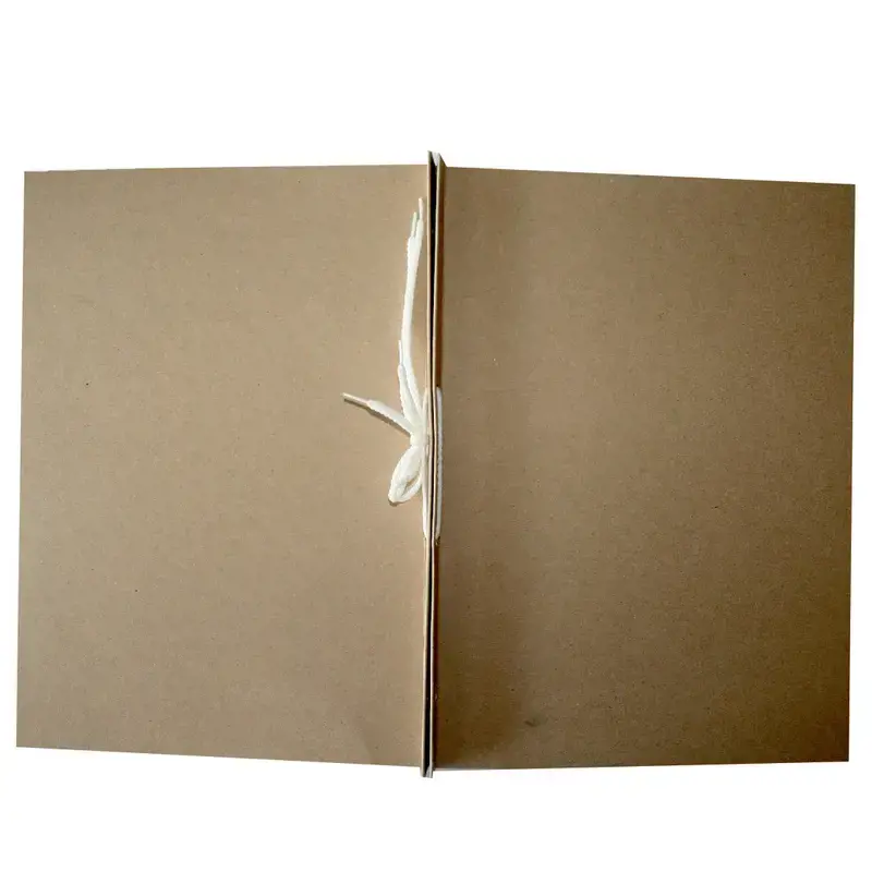 Archyvinis aplankas SMLT, su raišteliais, A4, BYLA, kartoninis, 400 g,  2 cm