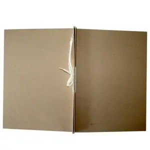 Archyvinis aplankas SMLT, su raišteliais, A4, BYLA, kartoninis, 400 g,  2 cm