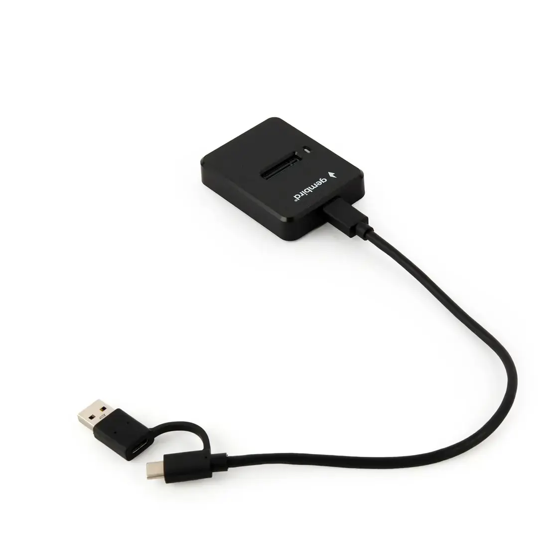 GEMBIRD Stalinio USB Type-C M.2 SATA NVME SSD disko prijungimo stotelė juoda