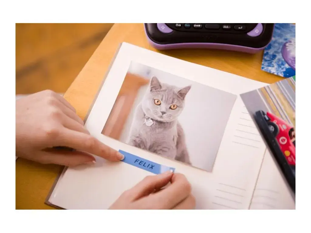 Brother TZE-531, TZ, Blue, Philippines, 5 year(s), 1.2 cm, 8 m