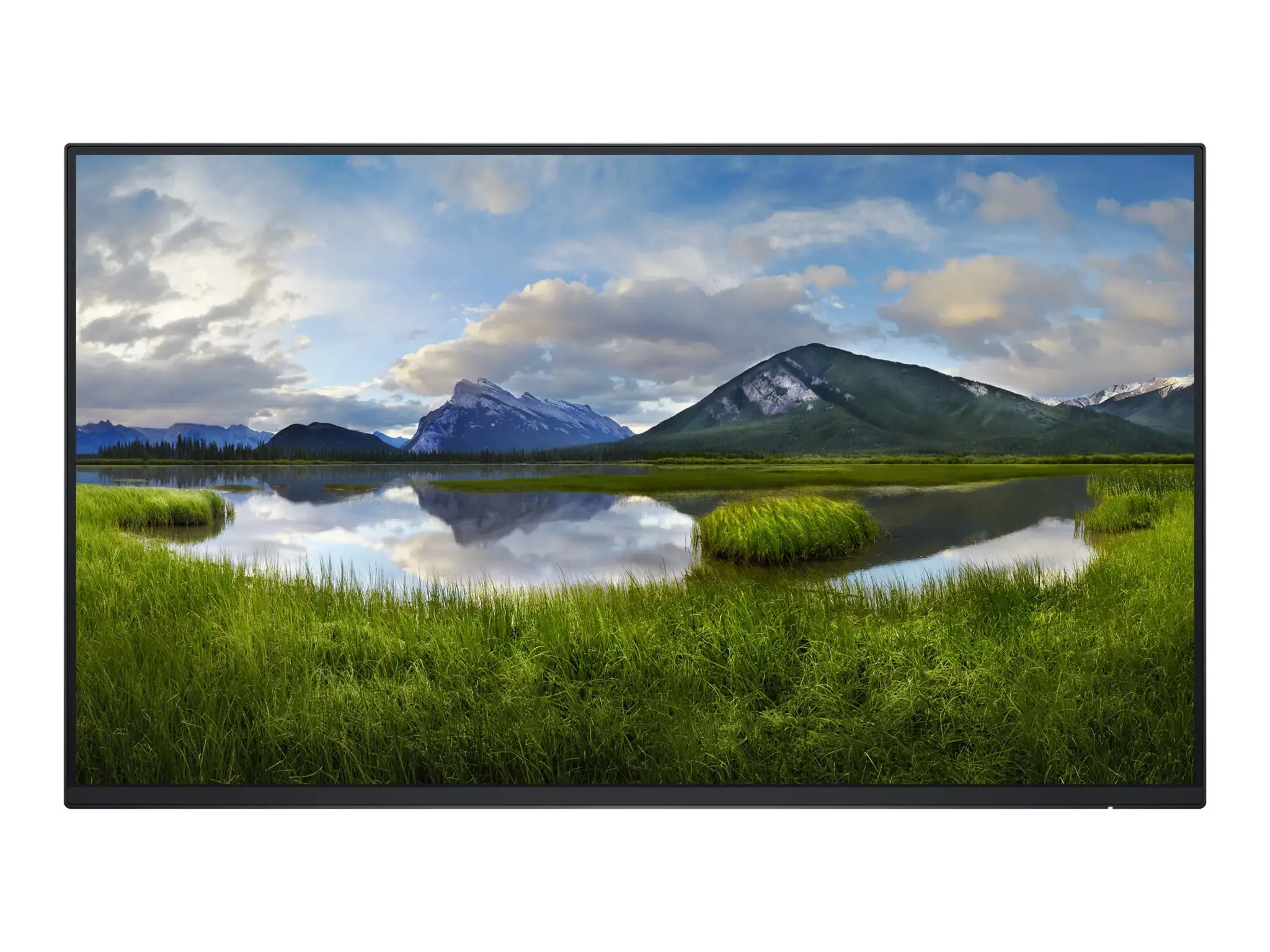Monitorius DELL P2425H LED  Monitor 24
