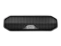 SANDISK Professional G-DRIVE 6TB 3,5 colių USB-C 5Gb/s USB 3.1 verslui skirtas kietasis diskas - kosminės pilkos spalvos
