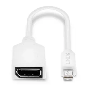 "Lindy" adapterio kabelis "Mini-DP (M)/DP (F) Premium" ekranuotas, 0,15 m, "Mini DisplayPort", "DisplayPort", vyriškas, moteriškas, baltas