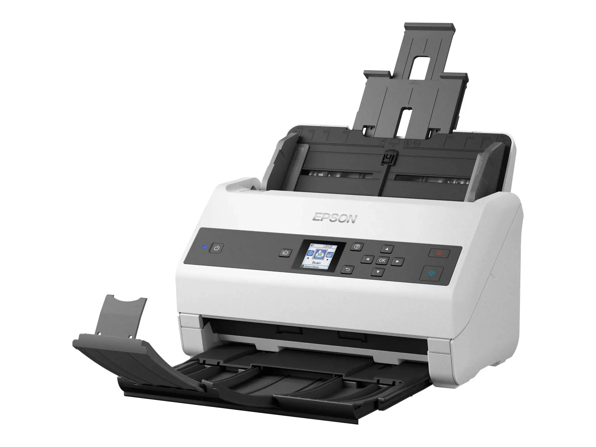 "Epson WorkForce DS-870", 600 x 600 DPI, 30 bitų, 24 bitų, 10 bitų, 8 bitų, 65 ppm