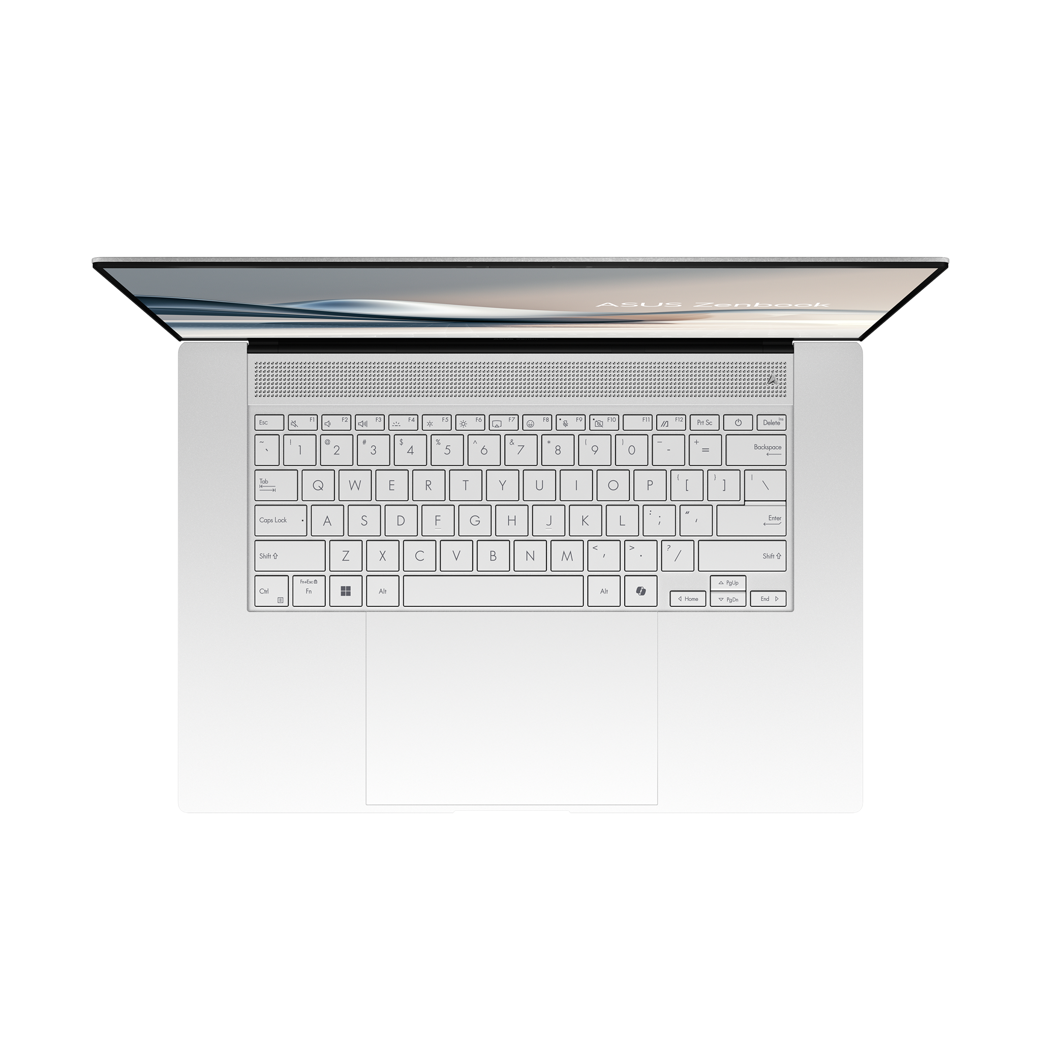 Nešiojamas kompiuteris ASUS ZenBook Series UM5606WA-RK217W, 365, 1024 GB, 16 Coliai, Windows 11 Home, AMD Radeon