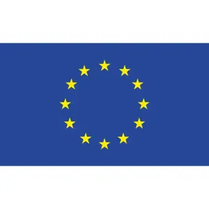 Europos sąjungos vėliava, 100 x 150 cm.
