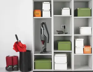 Dulkių siurblys GORENJE SVC252GFA