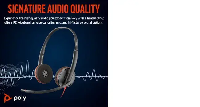 POLY Blackwire 3220 Stereo USB-C Headset +USB-C/A Adapter, Wired, Business/Everyday, 119 g, Headset, Black
