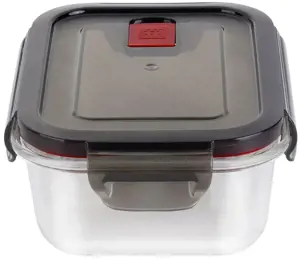 ZWILLING 39506-001 kvadratinė dėžutė 0,6 l skaidri 1 vnt.