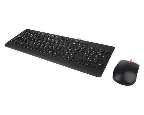 Lenovo 300, Full-size (100%), Wired, USB, QWERTY, Black, Mouse included