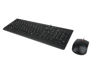 Lenovo 300, Full-size (100%), Wired, USB, QWERTY, Black, Mouse included