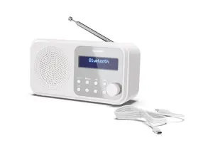 "Sharp DR-P420", nešiojamasis, skaitmeninis, DAB, DAB+, FM, automatinis nuskaitymas, automatinis derinimas, 2 W, AAC