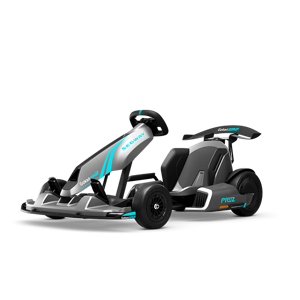 Paspirtukas Segway AA.04.04.01.0004