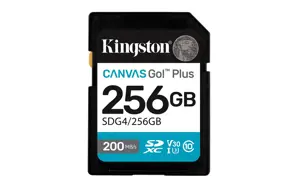 KINGSTON 256GB UHS-I SD Memory Card (Class 10, U3, V30)